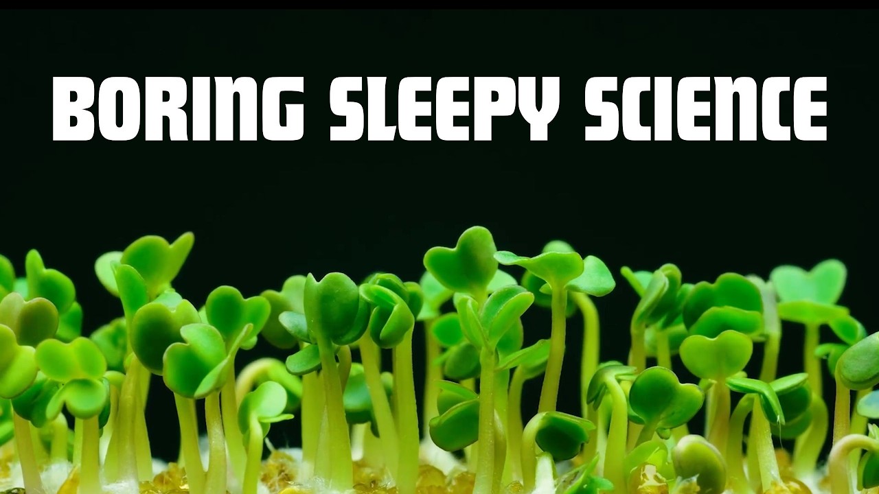 The Secret Life of Plants | Evolution, Intelligence, and the Silent Architects of Earth