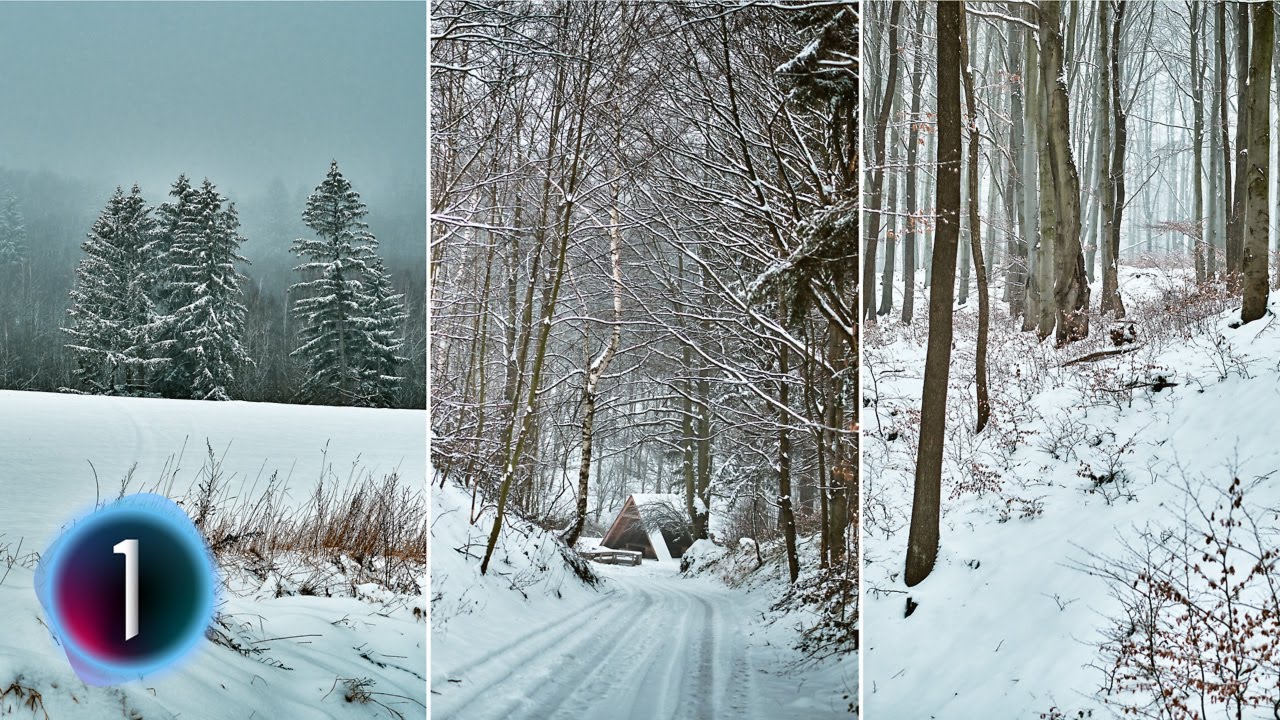 Simple FUJIFILM Workflow in Capture One 21 (How to use FILM SIMULATIONS with Variants)