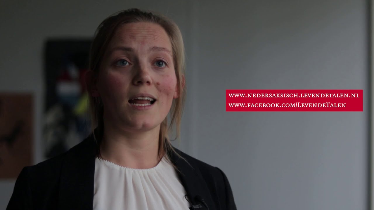 Levende Talen Nedersaksisch - Willemijn Zwart