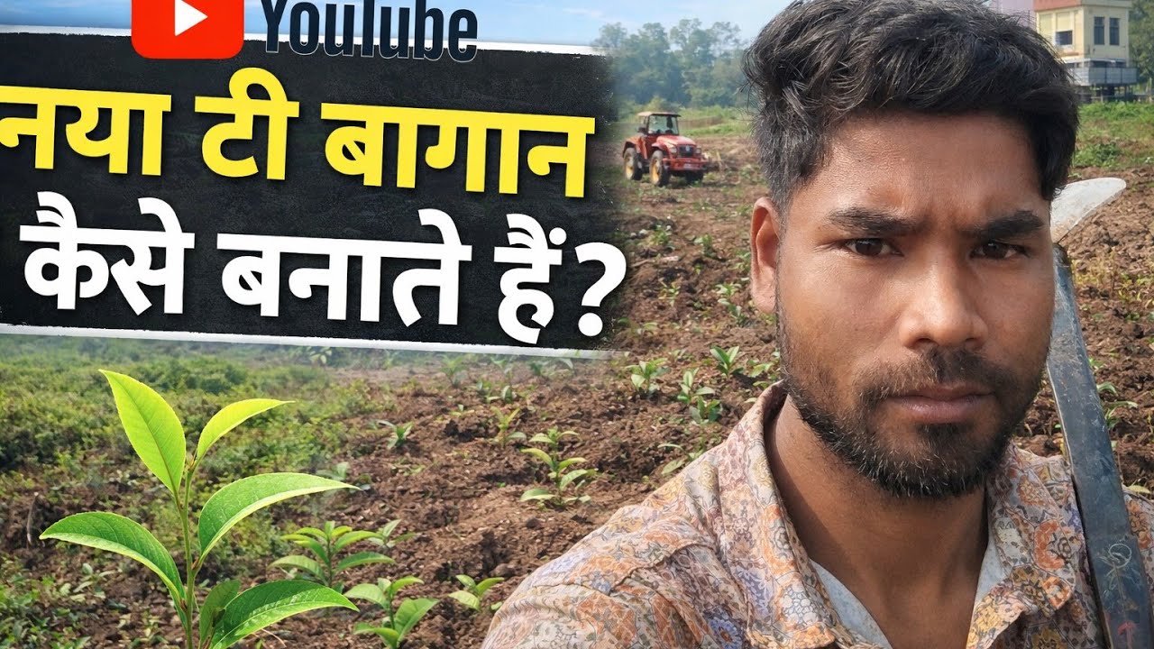 New Tea Bagan Kaise Banate Hain? - part 1