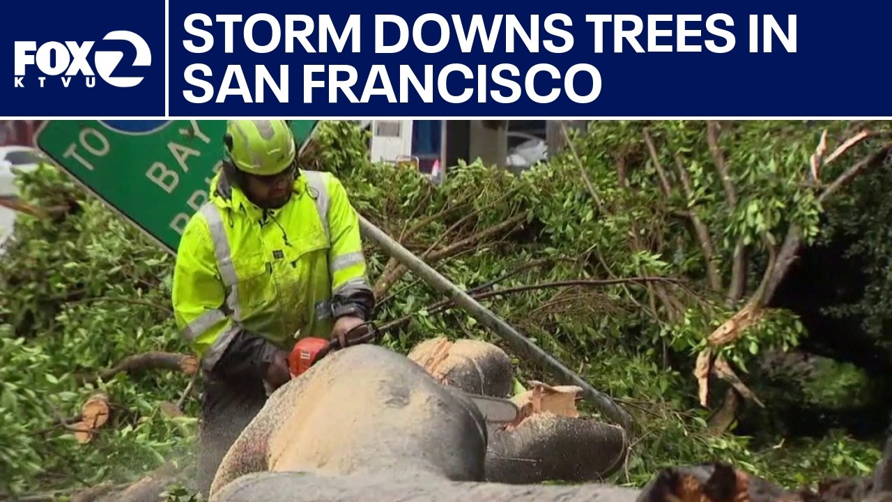 Rain topples trees in San Francisco as storm moves through area | KTVU