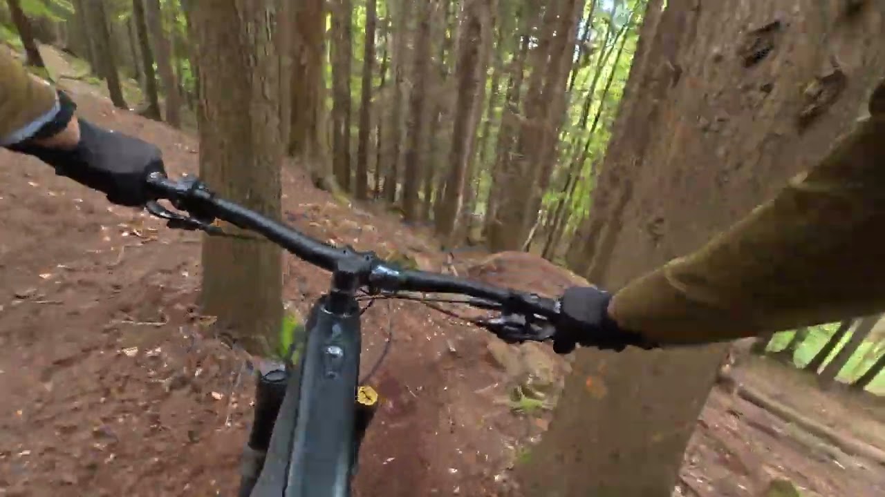 The Nutcracker,Tollymore N.I MTB trial.