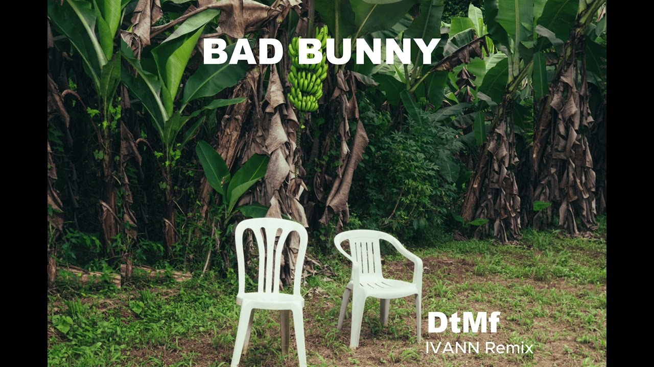 Bad Bunny - DtMf (IVANN Remix)