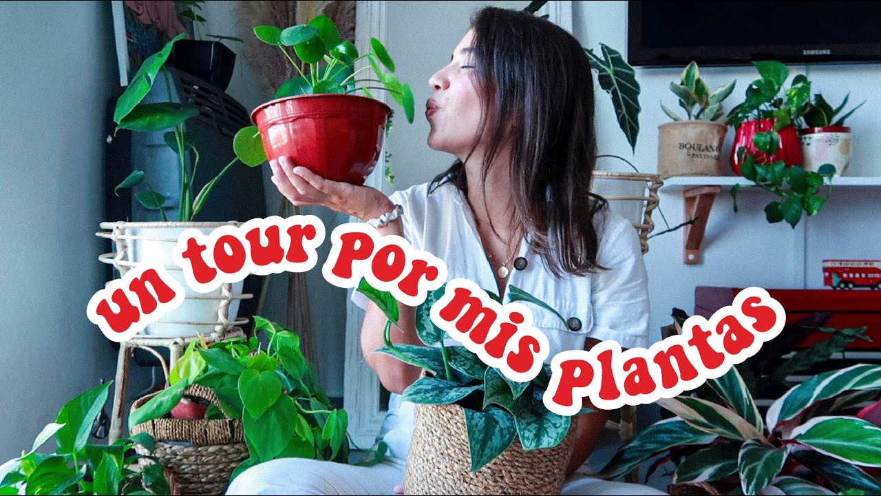 UN TOUR POR MIS PLANTAS 🌿 | OHMYTIPS