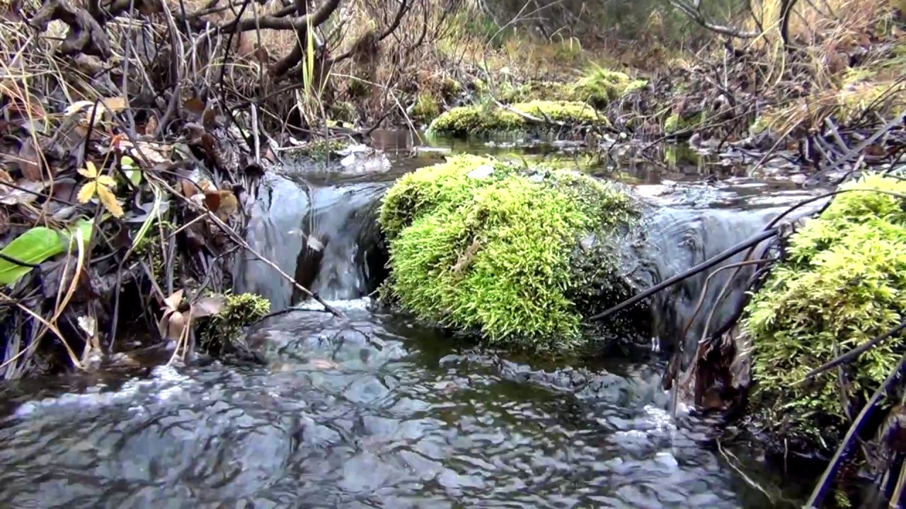 Vaellusvideo Suomen Lapista-Pallas Yll&auml;stunturin Kansallispuisto