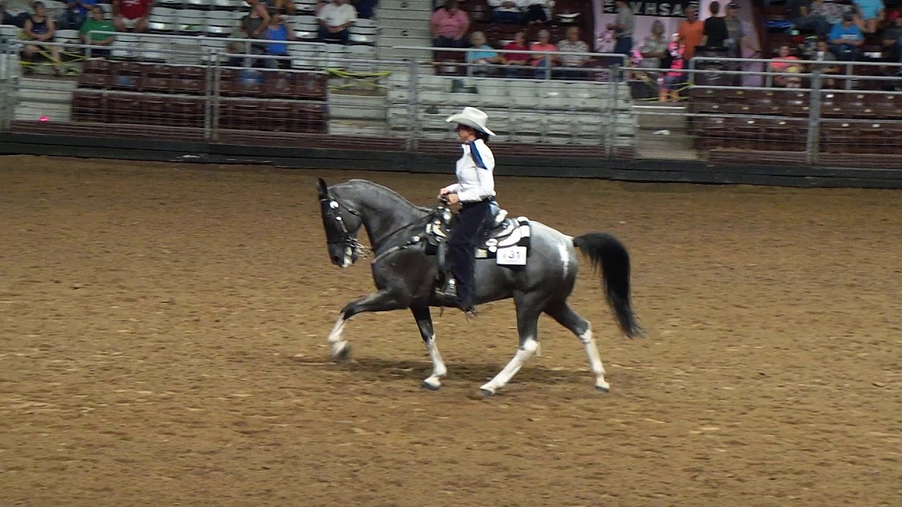 Arkansas state horse show 2018 Slow Gaited Heavy Shod final cut and placing