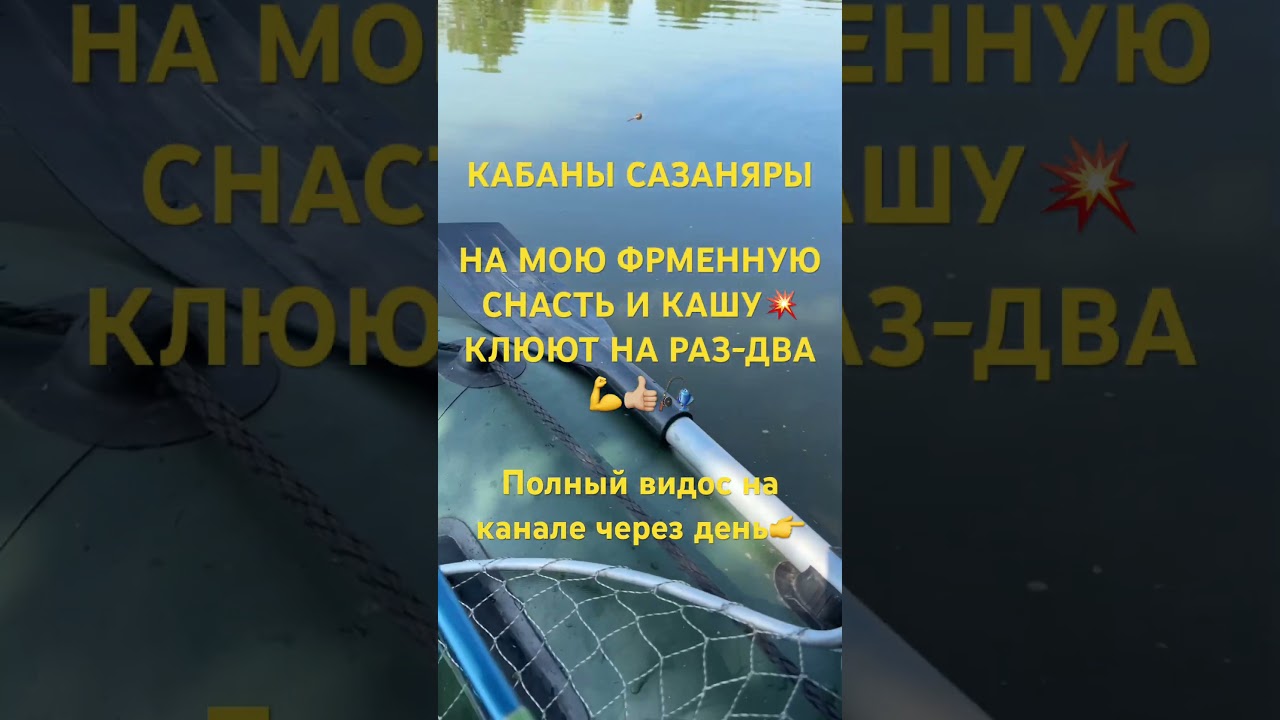 6 августа 2025 г.