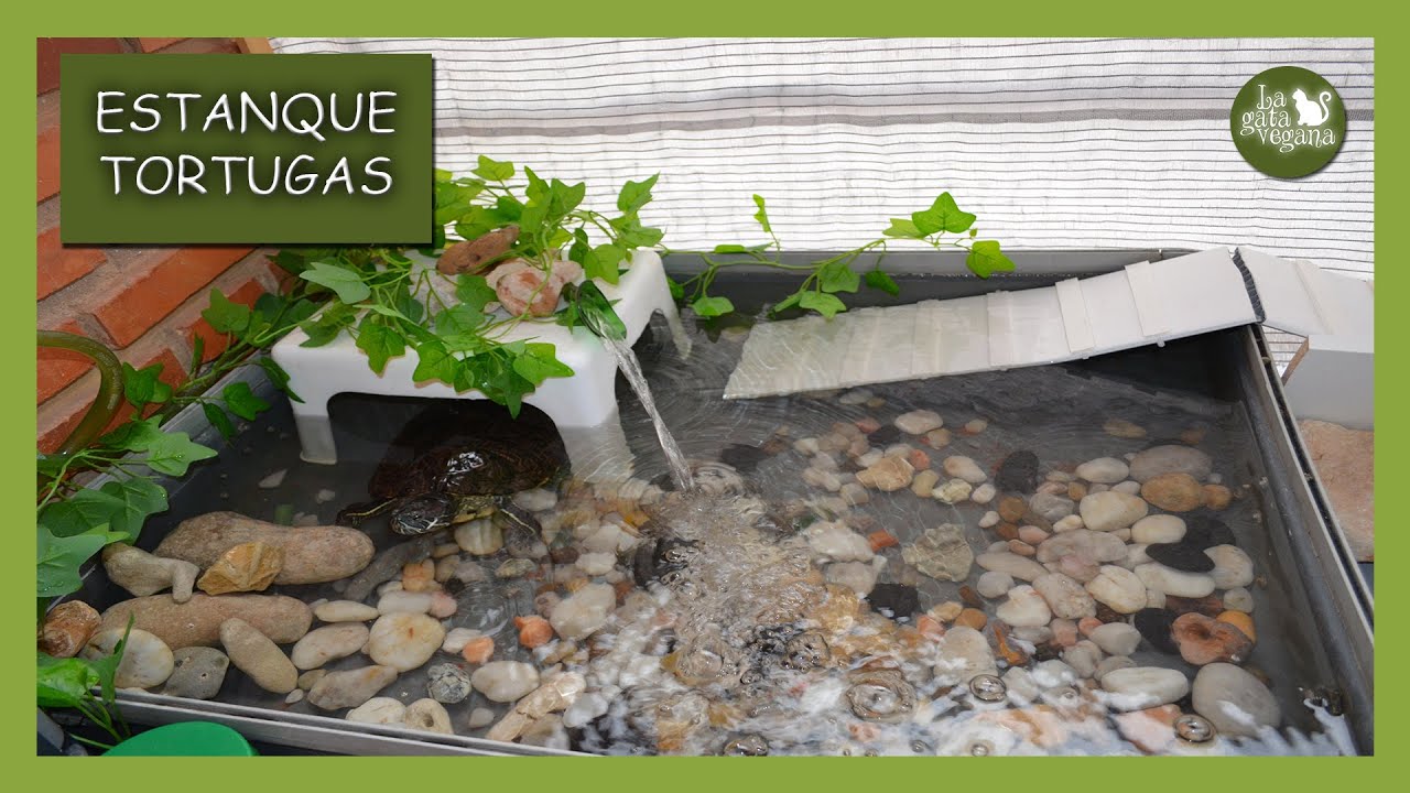 CÓMO CONSTRUIR UN ESTANQUE CASERO PARA TORTUGAS GRANDES RECICLADO Y SIN OBRA EN BALCÓN PEQUEÑO