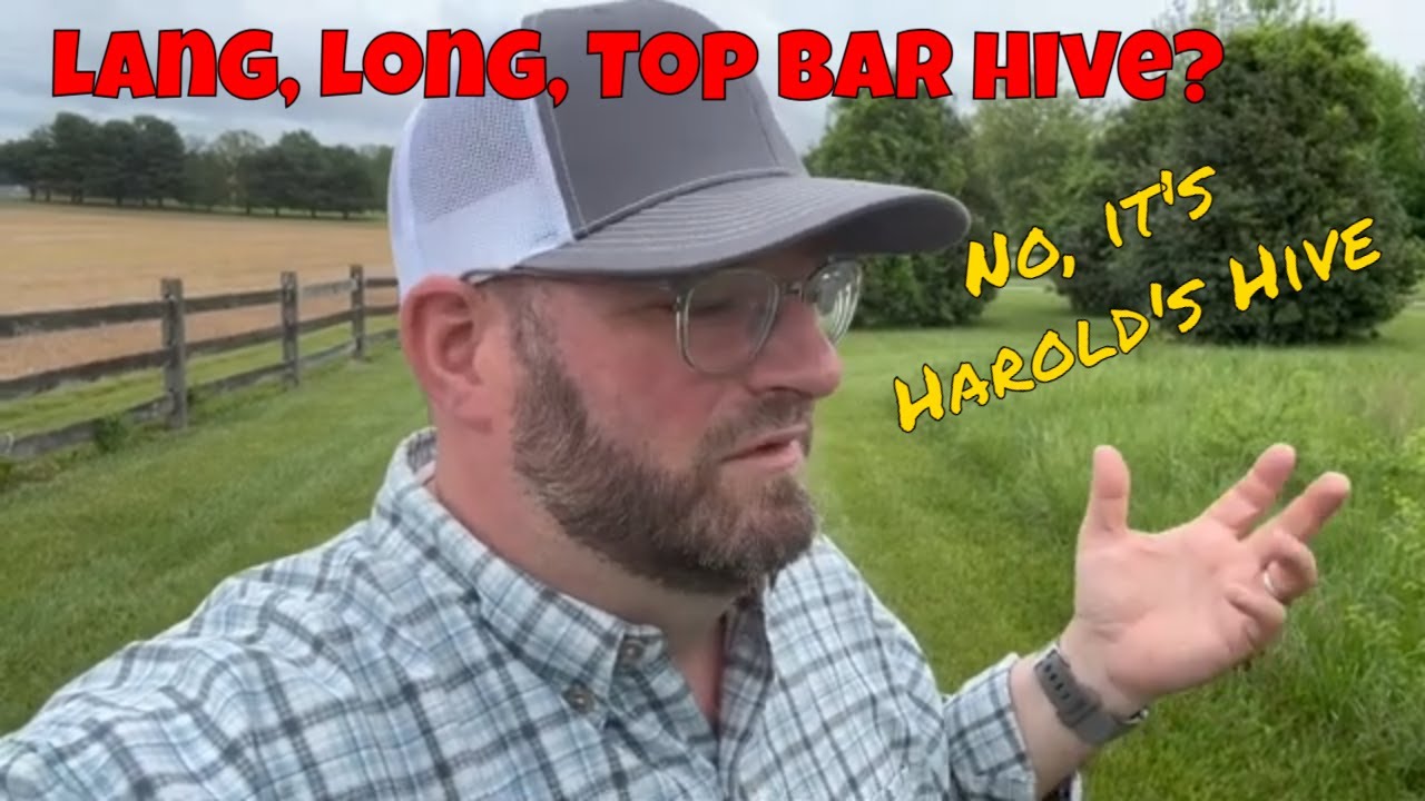 A Hive Built with Purpose | Introducing Harold’s Hive