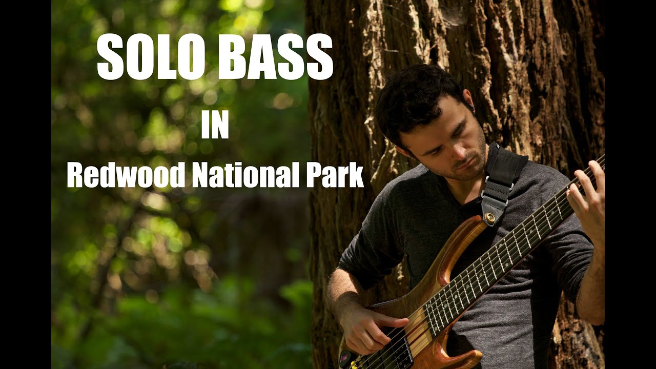 Spiders & Redwoods - Solo Bass Composition Filmed in Redwood National Park - Josh Cohen