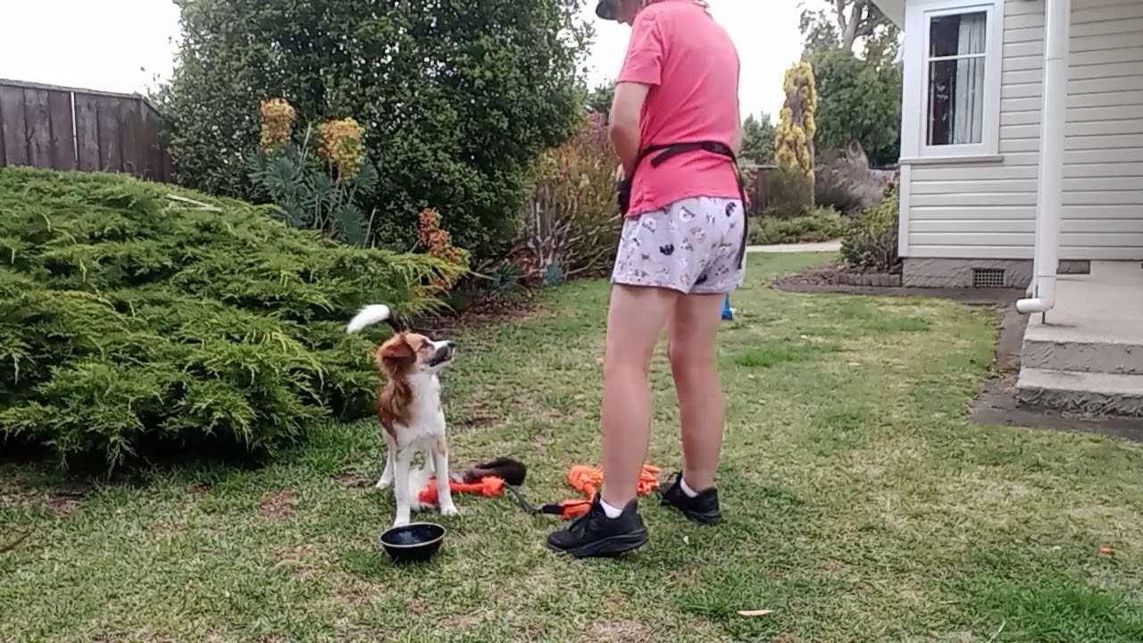 Wraps and tandem turns around a cone - Toot 5 months 8/1/2026