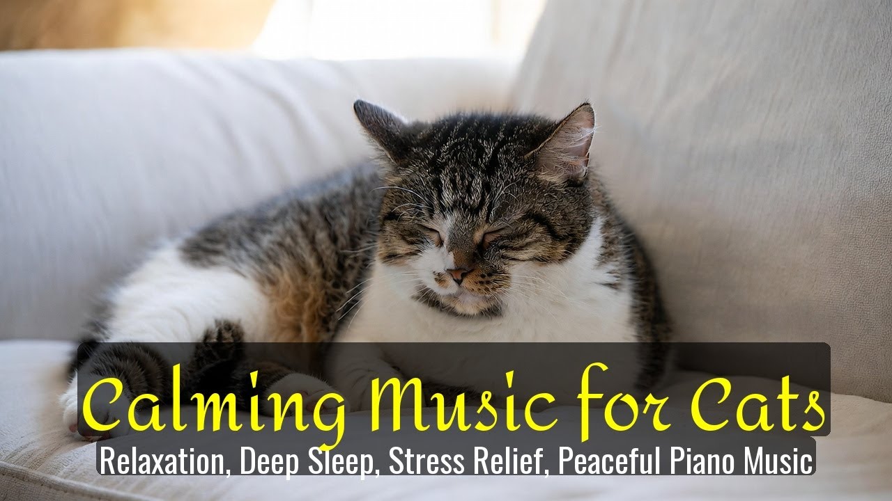 Calming Music for Cats - Relaxation, Deep Sleep, Stress Relief, Peaceful Piano Music | Season 30
