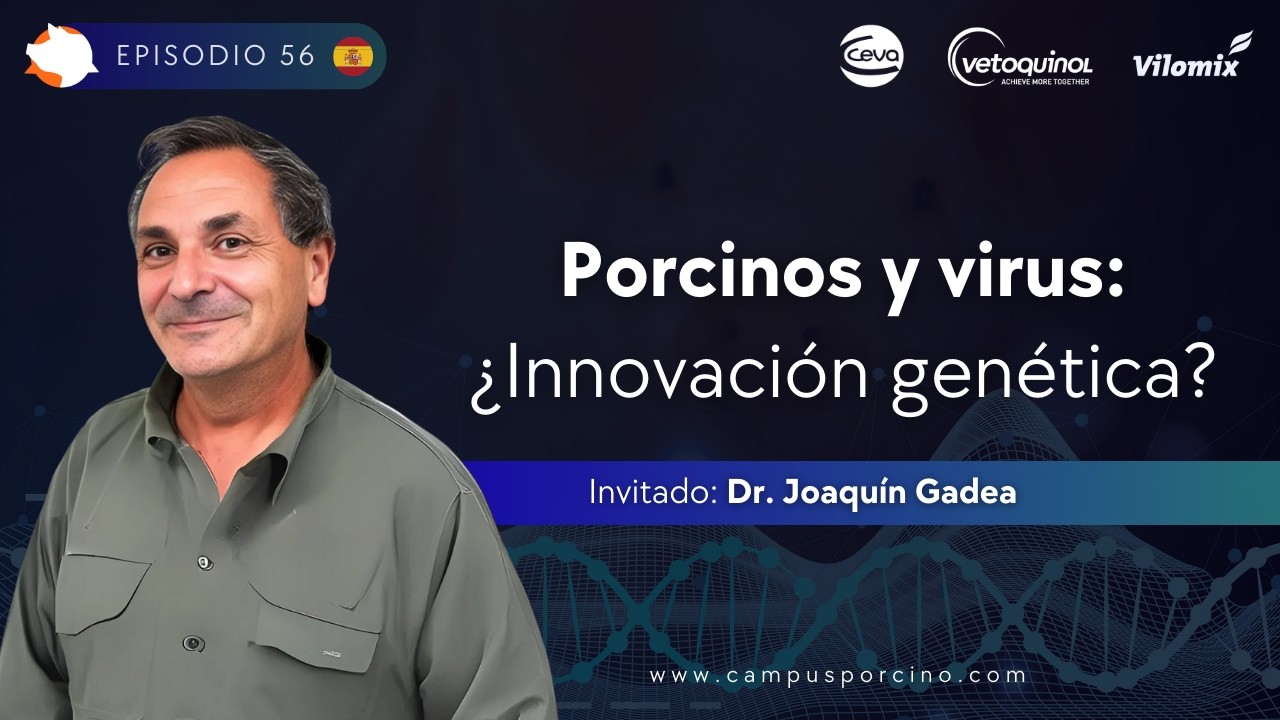 #56 - Edición genética en cerdos: ¿Una salida real al PRRS? - Dr. Joaquín Gadea