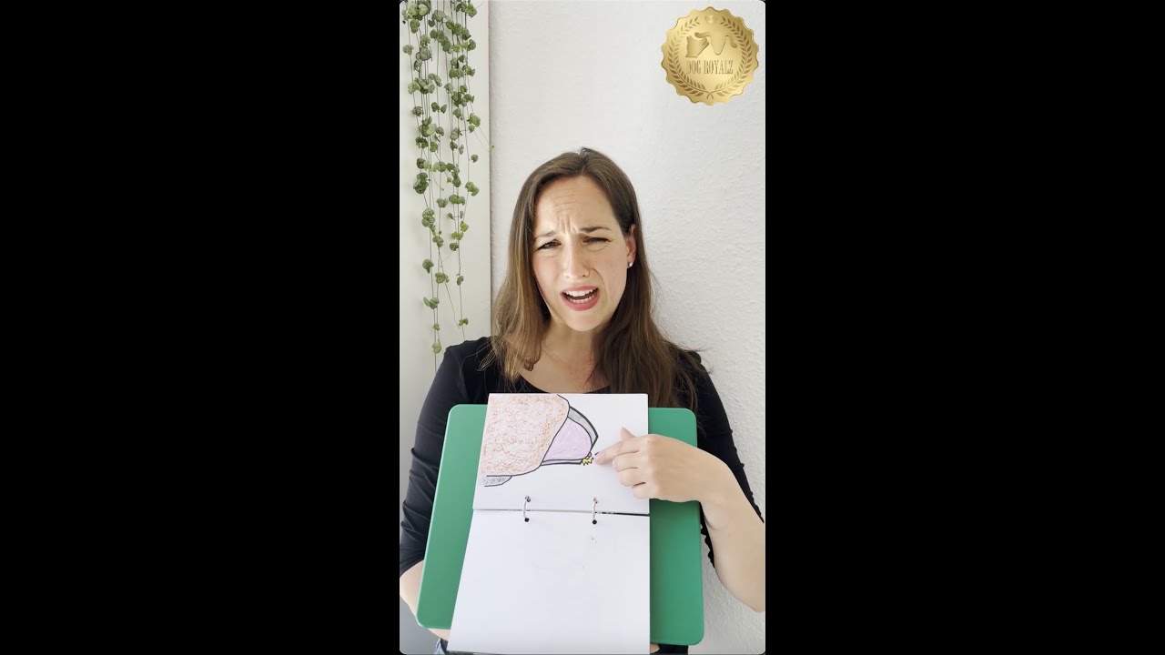 Erklärvideo Krallen