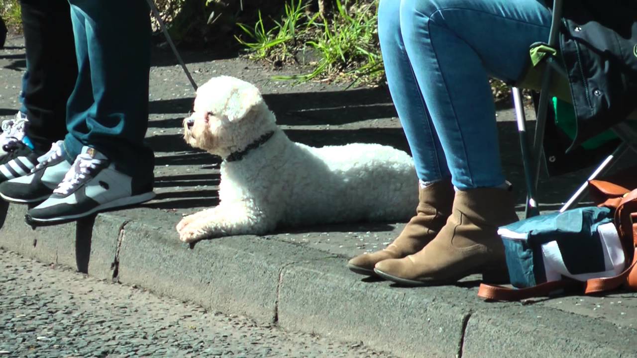 Belfast City Marathon 2016