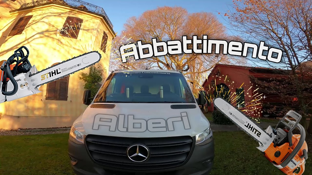 ABBATTIMENTO ALBERI - Controllato - Treeclimbing - Carrucola