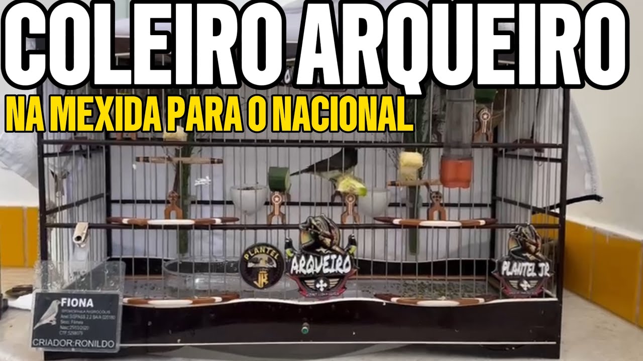 (EXCLUSIVO) COLEIRO ARQUEIRO, NA MEXIDA PARA O NACIONAL