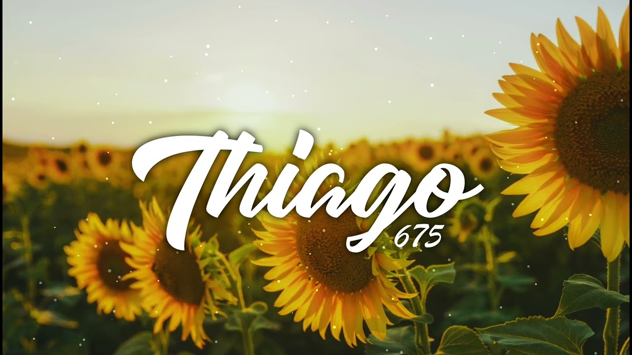 Boy in Space - Picking Flowers [Thiago Remix] Swing Bounce