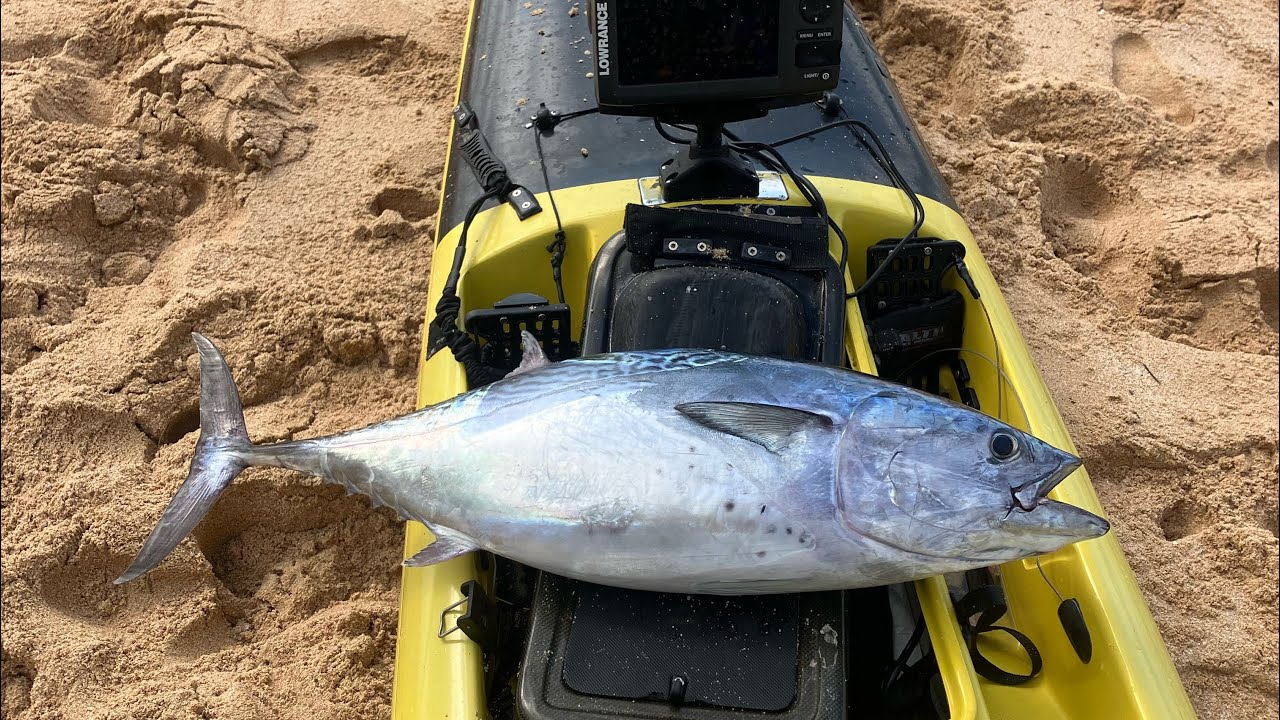 First run STEALTH FISHA 500 and PENN  SLAMMER LIVE-LINER 