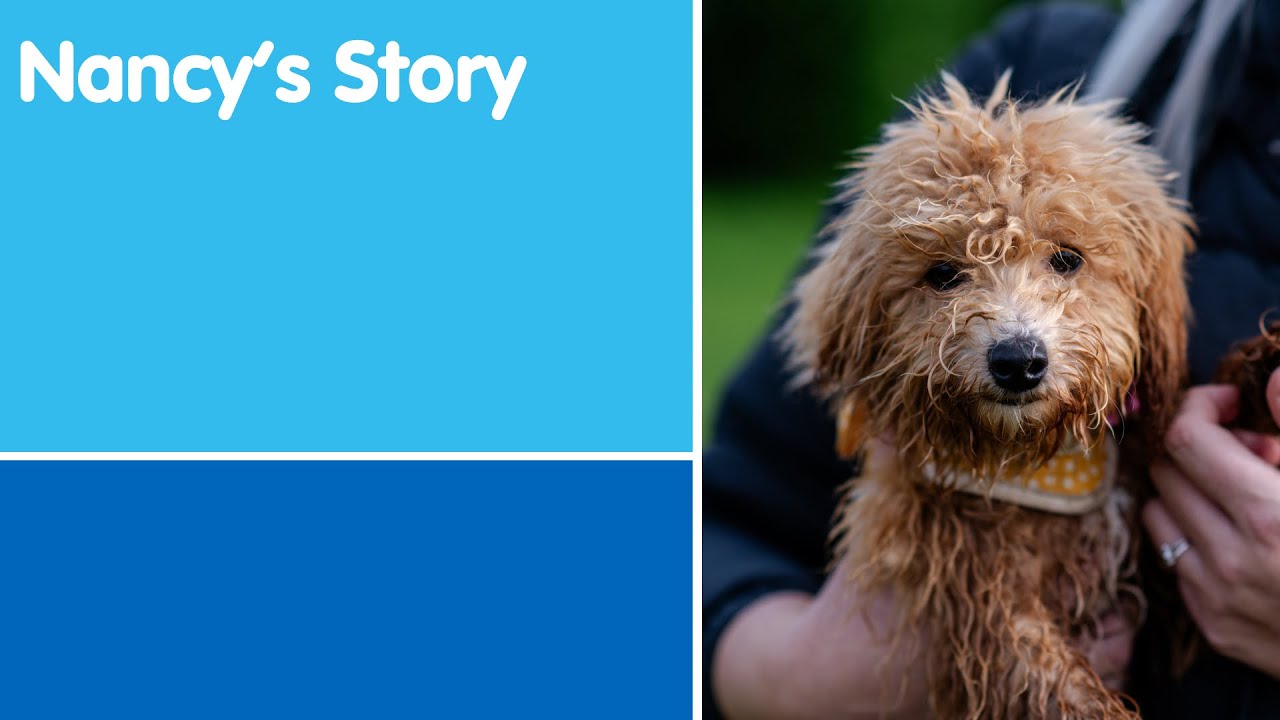 Nancy's Story | Blue Cross