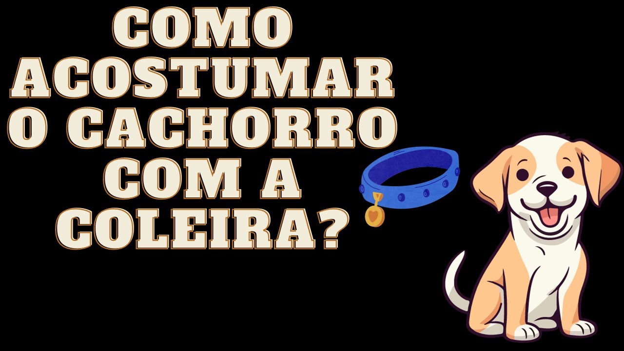 Como acostumar o cachorro com a coleira?