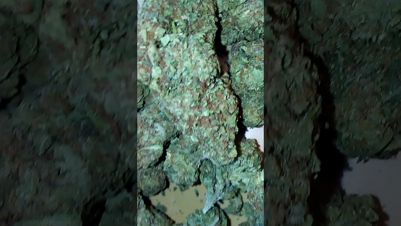 Headband