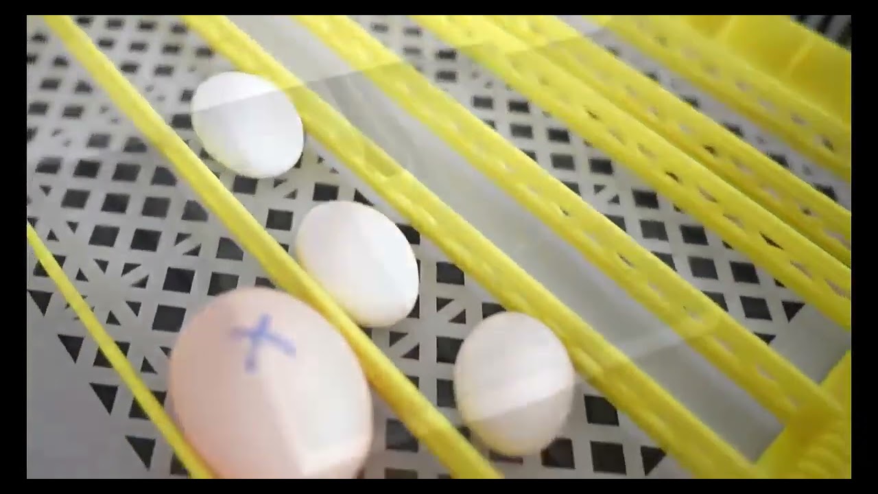 36-egg incubator for Hatching chicks Tutorial & Instructions