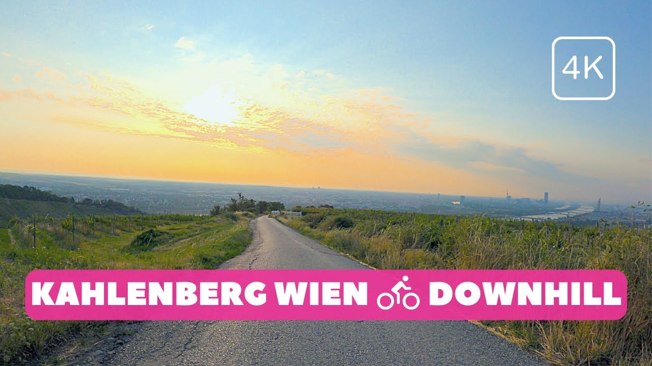 Alleine am Kahlenberg! Downhill hinunter zur Donau