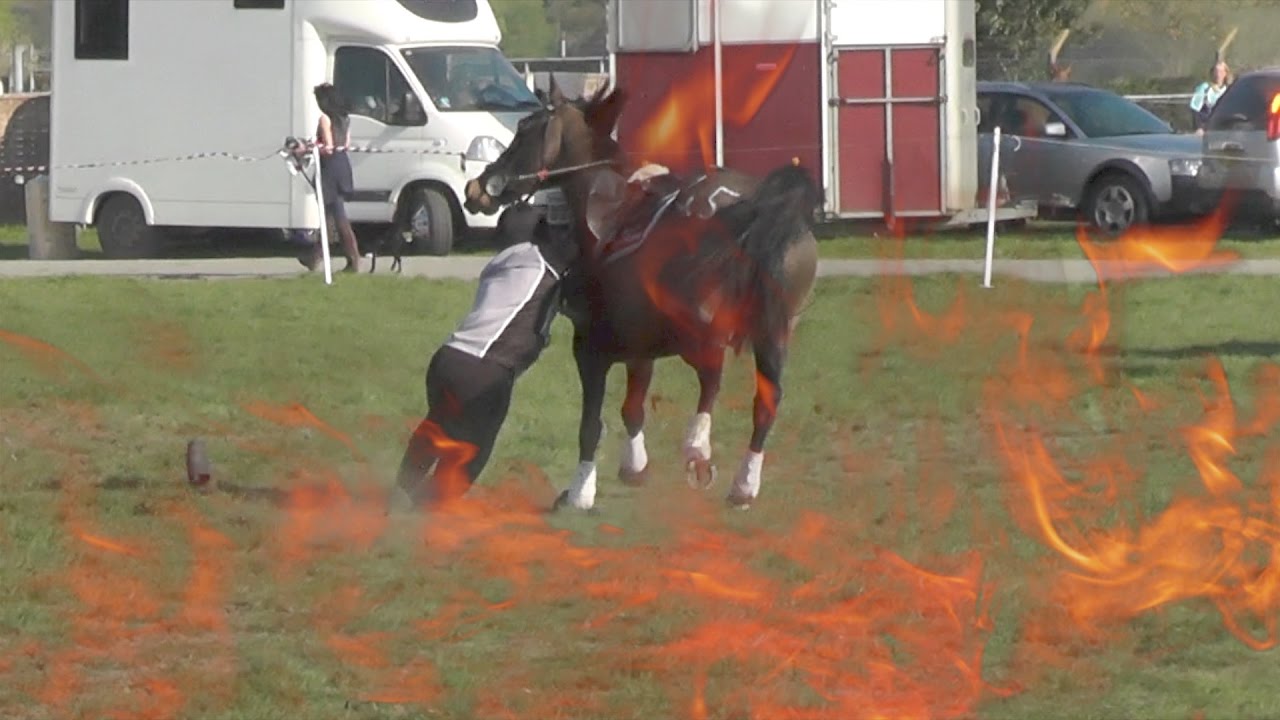 MOUNTED GAMES 2017               FLIPS & FLOPS