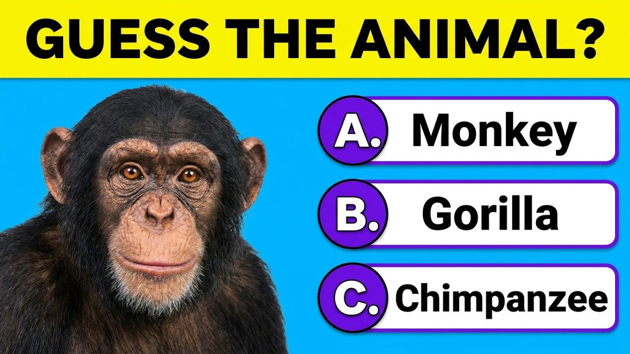 Can You Guess All 50 Animals 🐘 Ultimate Animal Quiz for Kids!