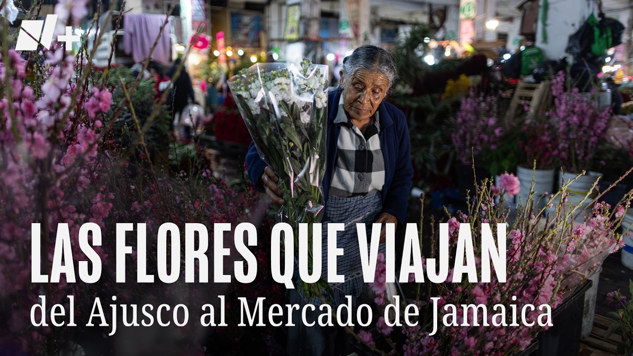 Las flores que viajan del Ajusco al Mercado de Jamaica
