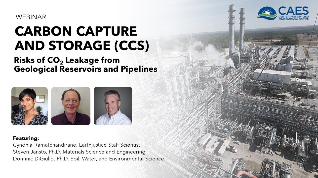 Risks and Potential Impacts from Carbon Steel Pipelines Transporting and Processing CO2, H2, CH4