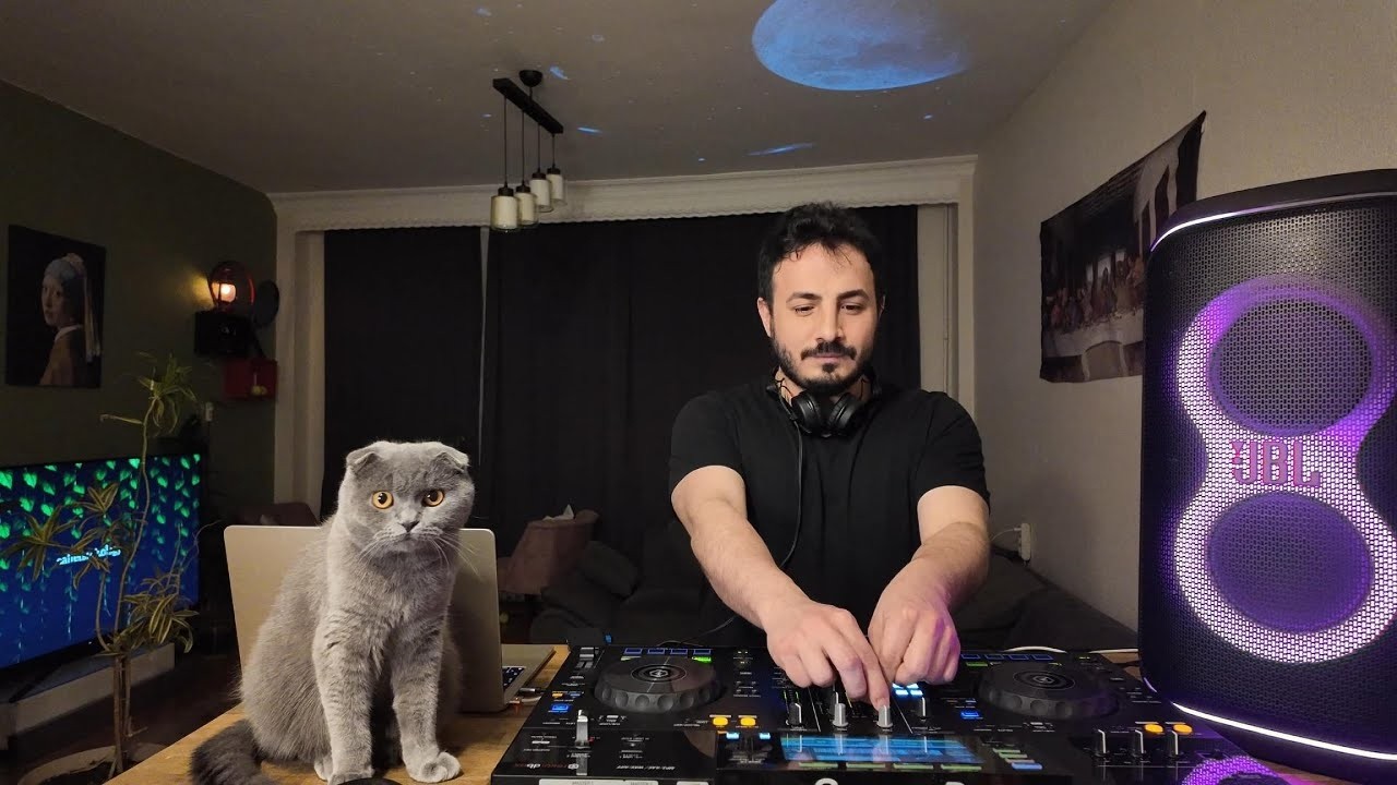 🔴 LIVE 24/7 Deep House Radio | Smooth Grooves • Chill Vibes | B2B Nyx 🐾