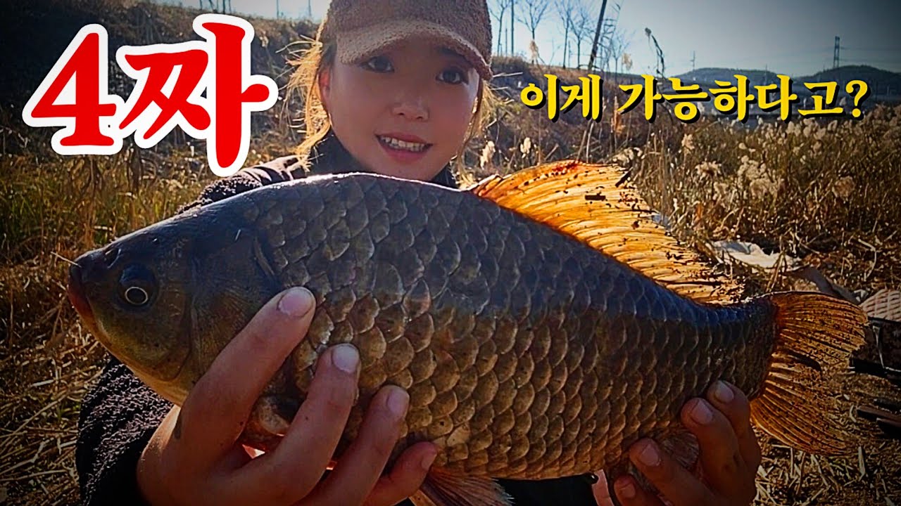 붕어낚시꾼 나래붕어 대낮에 4짜 대물붕어 등장!!.. 이게 가능하다고?!