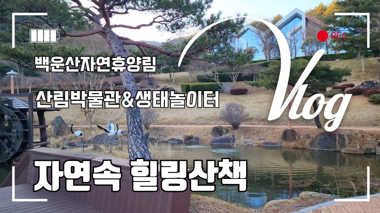 봄이 오는 소리를 느끼며 백운산자연휴양림 산책하기. 2025. 2. 17