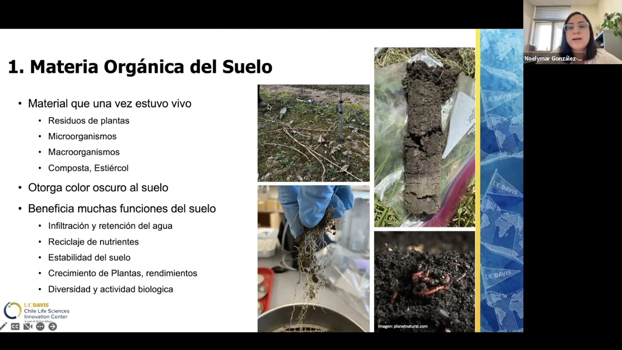 Indicadores de sanidad de suelo – Ejemplos prácticos