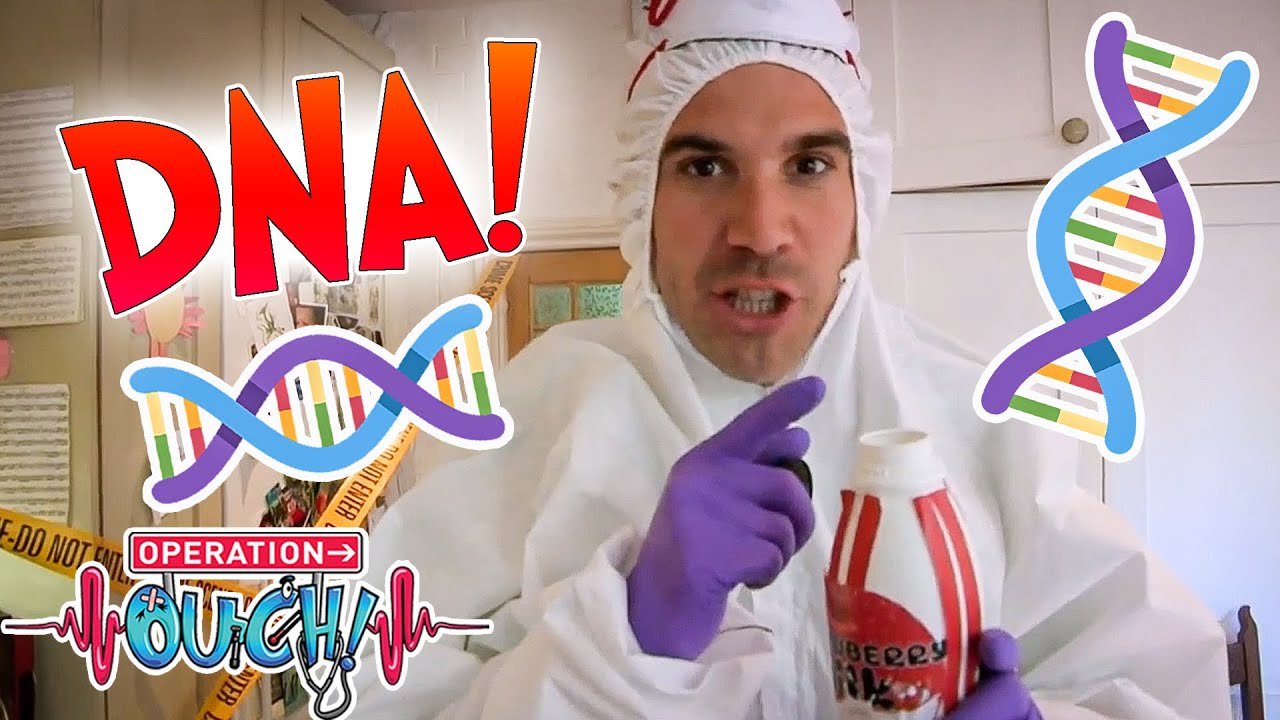 DNA Testing to Catch a Thief!  🧬 | Full Episodes | Science for Kids | Operation Ouch
