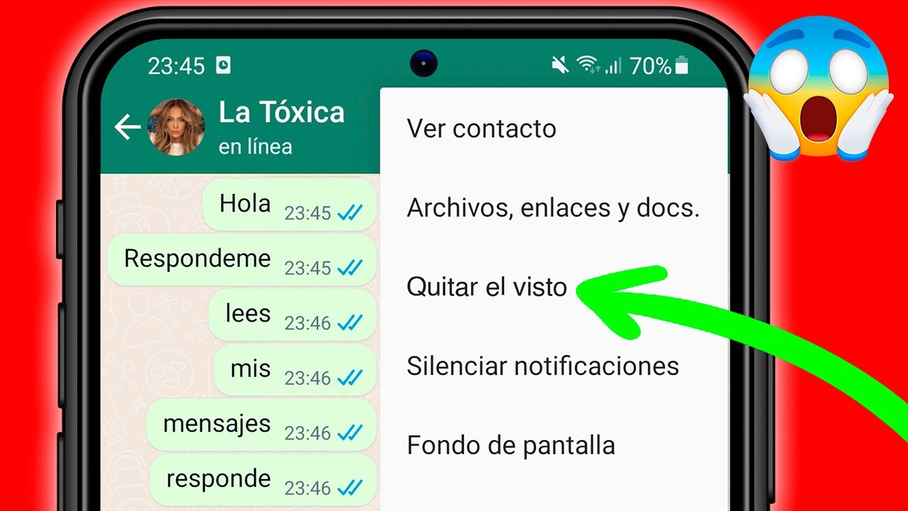 Cómo LEER WHATSAPP SIN QUE APAREZCA COMO LEIDO