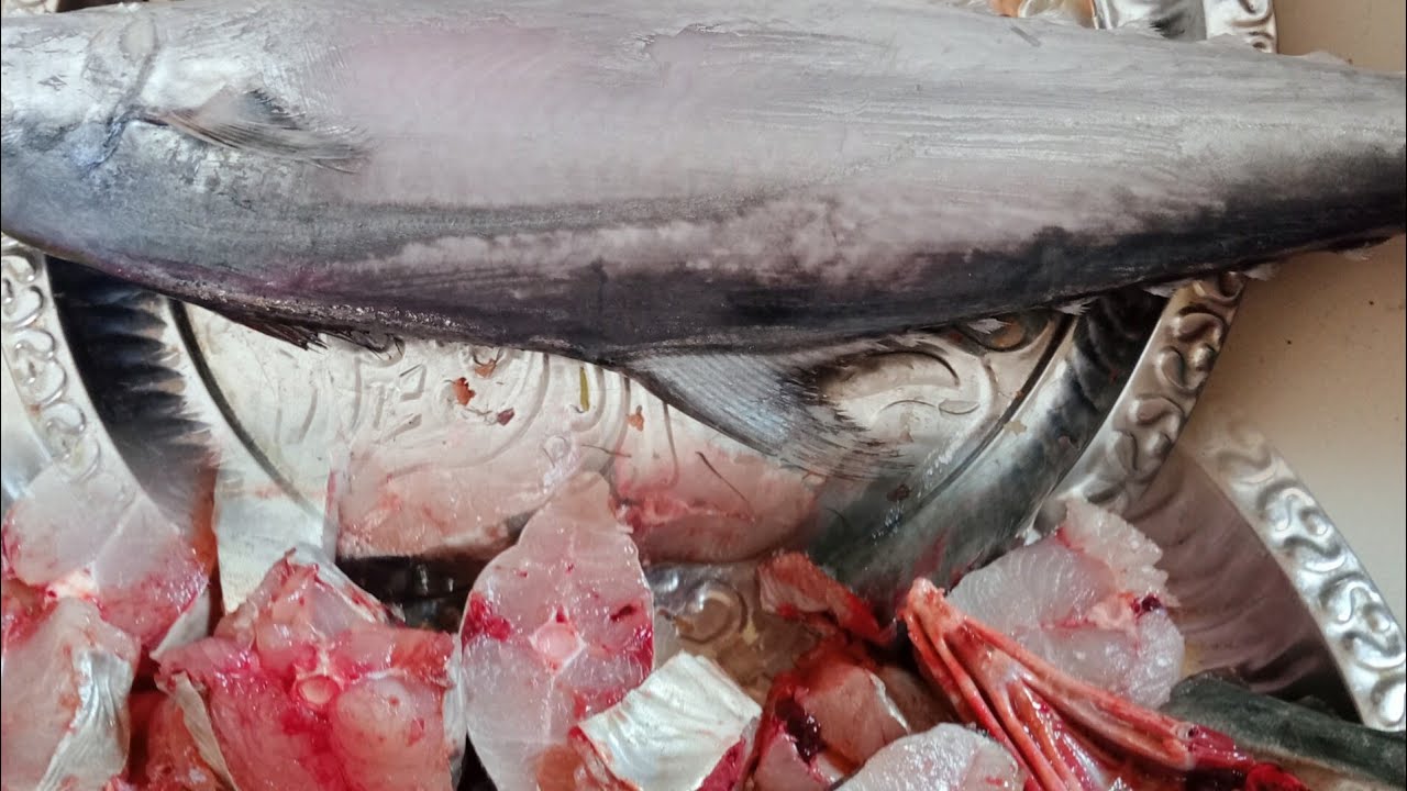 How to cut surmai fish🦈🐠সুরমা মাছ কাটার নিয়ম🦈