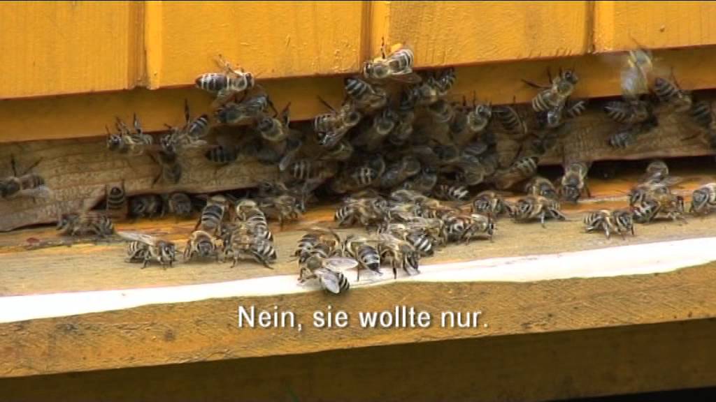 CHLEBNIČAN Emil - Včielka Vierka