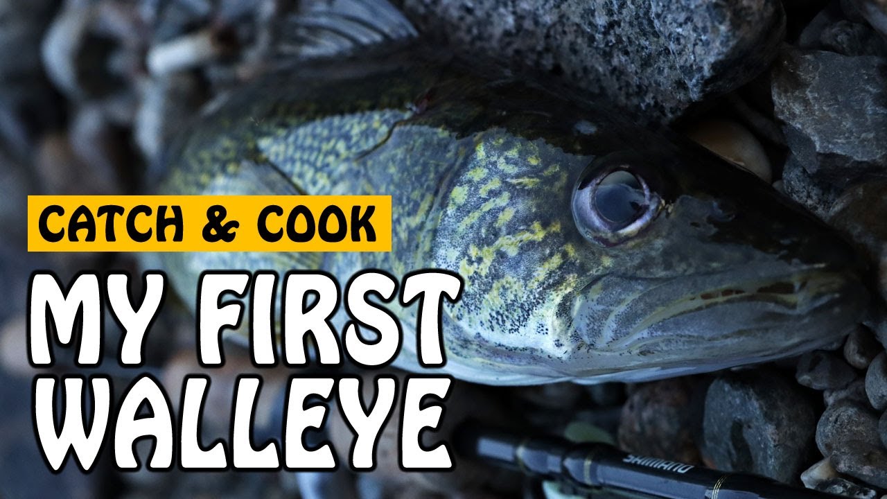 Do WALLEYE Taste as AMAZING as Everyone Claims? | Fishing with Rod