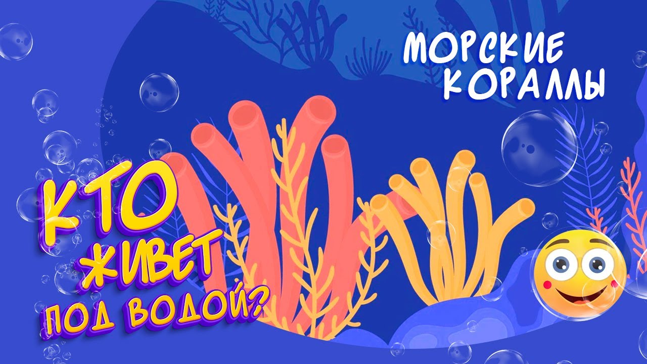 Морские кораллы. Открой тайны океана