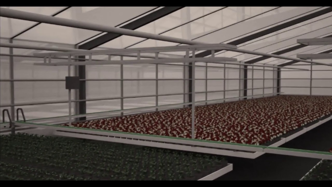 FGM - Belt conveyors - Internal transportation