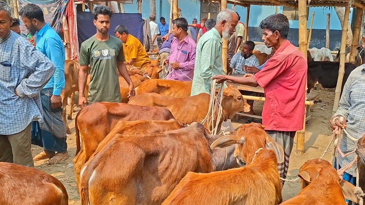 @আজ ৭ মার্চ