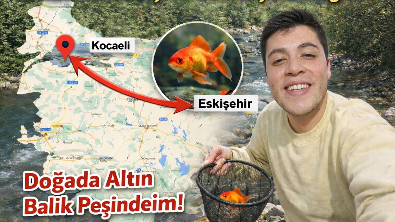 Doğada Akvaryum Balığı mı?! Kocaeli’den Eskişehir’e Gittim 🙂‍↔️ (ÇEKİLİŞ VAR)