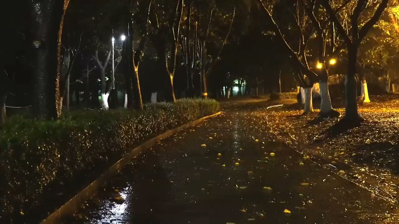 سورة مريم مع اصوات المطر - اجواء الليل الهادئة يساعد على (الاسترخاء)🌧🎧 | القارئ شريف مصطفى