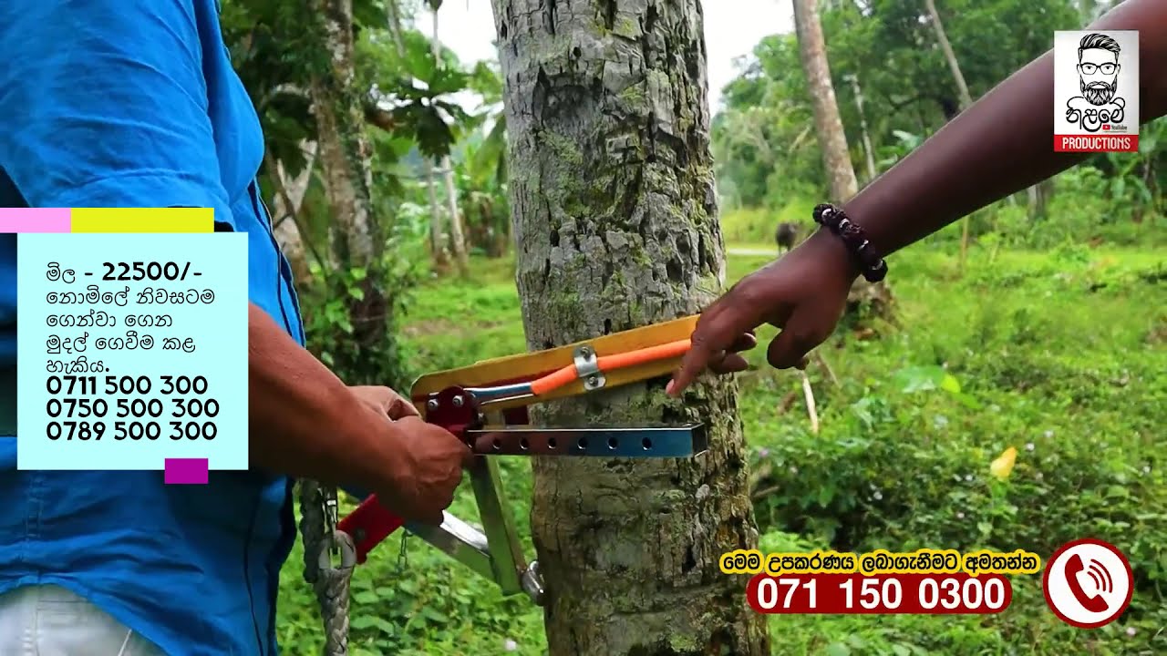 කෙල්ලන්ටත් විනාඩියෙන් පොල් ගස් නගින්න පුලුවන් ගැජට් එක...