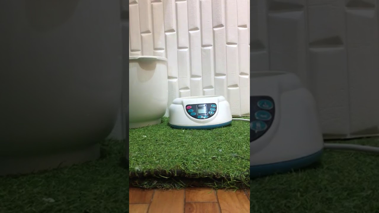 Cara menggunakan pigeon multi sterilizer