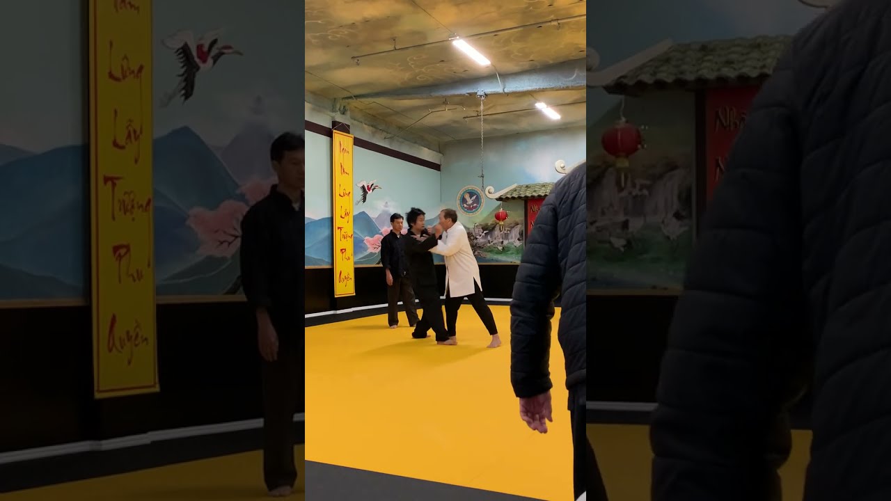 Lý Hồng Thái - Hồng Gia Việt Nam - Thái Cực Quyền (Tai Chi)