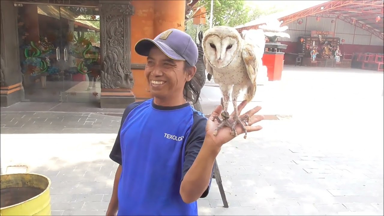 Bali and Surabaya  Part 3   tour of Surabaya   Oct  2024
